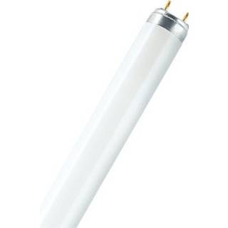 Osram LUMILUX - fluorescent light bulb - shape: T8 - G13 - 18 W - cool white light - 4000 K