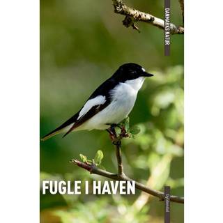 Danmarks Natur Fugle i Haven - Bøger fra Gyldendal
