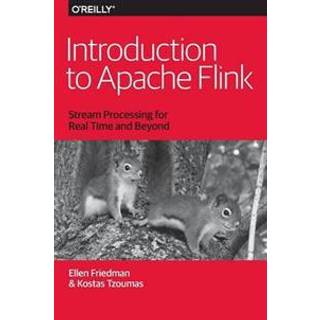 Introduction to Apache Flink (4, 2016) | Kostas Tzoumas,Ellen Friedman