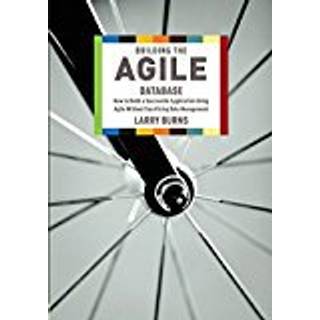 Building the Agile Database