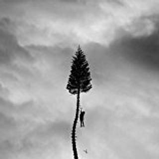 Manchester Orchestra - Black Mile To The Surface (2 LP)