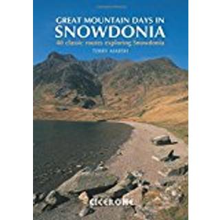 Great Mountain Days in Snowdonia