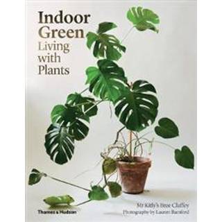 Indoor Green