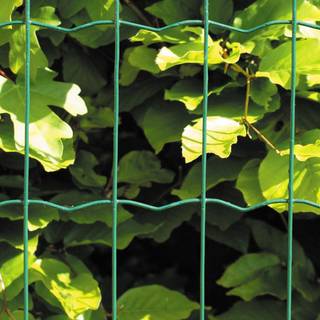 Hortus Trådhegn 200 cm x 25 meter i grøn