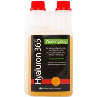 Trikem WorkingDog Hyaluron 365 500 ml