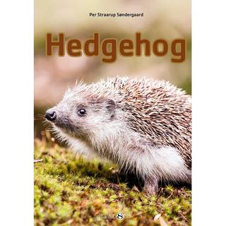 Hedgehog