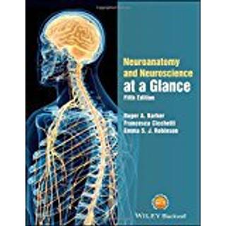 Neuroanatomy and Neuroscience at a Glance