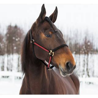 Finntack Pro Yankee grime - Pony - Sort/rød