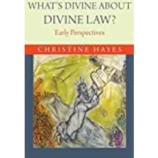 What's Divine about Divine Law?