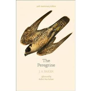 The Peregrine: 50th Anniversary Edition