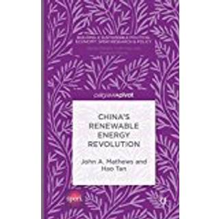 China’s Renewable Energy Revolution