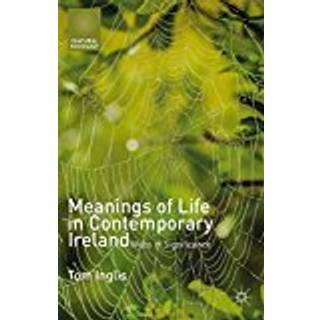 Meanings of Life in Contemporary Ireland