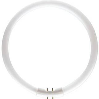 Lysrør TL5 circular 22W/830 Primær ø16x220mm