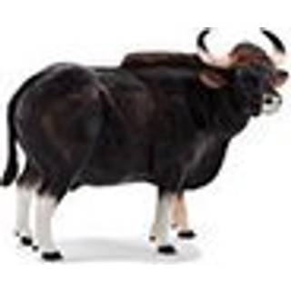 Mojo Gaur Tyr