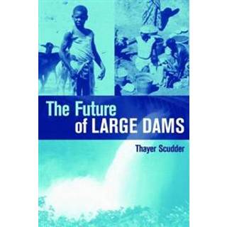 The Future of Large Dams