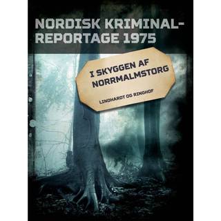 I skyggen af Norrmalmstorg