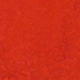 Linoleumsgulv Forbo Scarlet Marmoleum Click 30x30 cm