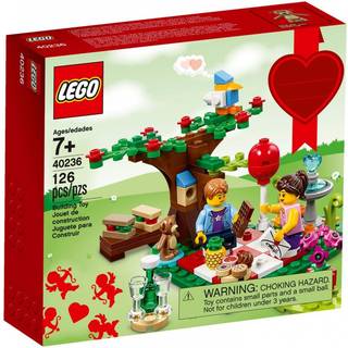 Romantic Valentine Picnic (40236)