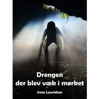 Drengen der blev væk i mørket