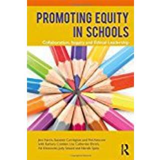 Promoting Equity in Schools