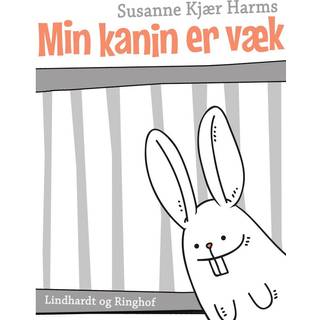 Min kanin er væk
