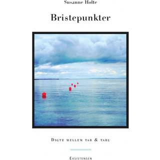 Bristepunkter