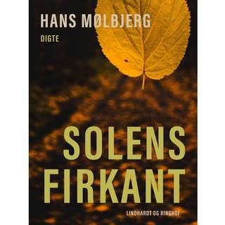 Solens firkant