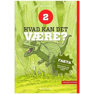 Hvad kan det være? 2