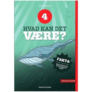Hvad kan det være? 4