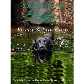 The Girls from the Horse Farm 5 - Oskar Goes Crazy