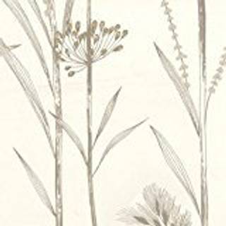 Gardinum Ivory/Gold - HPOW110554