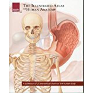 Illustrated Atlas of Human Anatomy