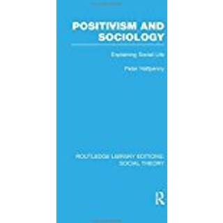 Positivism and Sociology (RLE Social Theory)