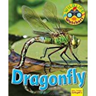 Wildlife Watchers: Dragonfly