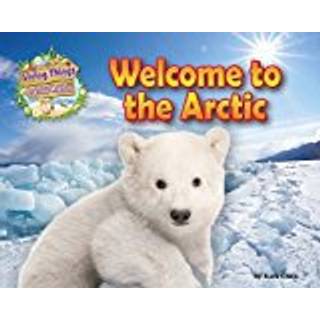 Welcome to the Arctic