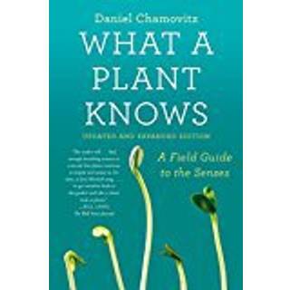 What a Plant Knows