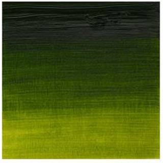 WINSOR Artists oil colour 200ml sap green 599