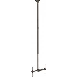 StarTech.com High Ceiling TV Mount - 8.2' to 9.8' Long Pole - Full Motion - loftsmontering 50 kg 70" 200 x 200 mm