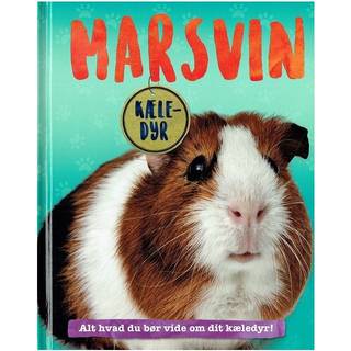 Marsvin - Kæledyr af Pat Jacobs