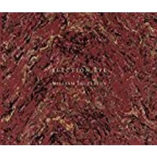 William Eggleston: Election Eve