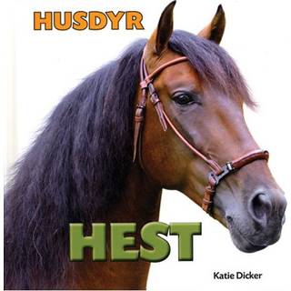 Hest