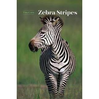 Zebra Stripes