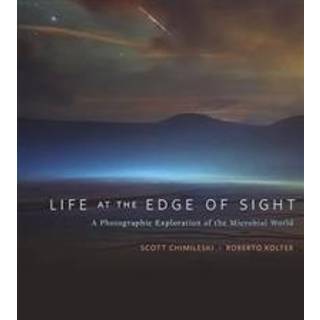 Life at the Edge of Sight