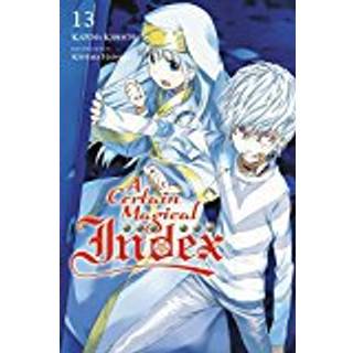 A Certain Magical Index, Vol. 13 (light novel)