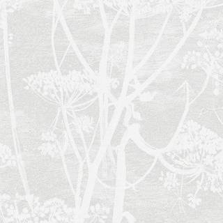 Cow Parsley - Parchment