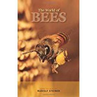The World of Bees