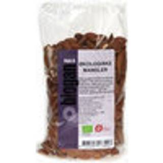 Mandler Jumbo Spanien Økologisk - 500 gr - Biogan - DISCOUNT PRIS