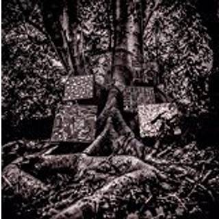 Kamasi Washington - Harmony of Difference