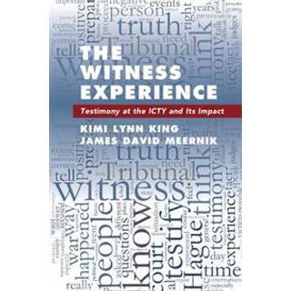 The Witness Experience