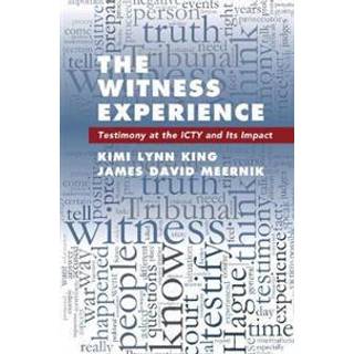 The Witness Experience